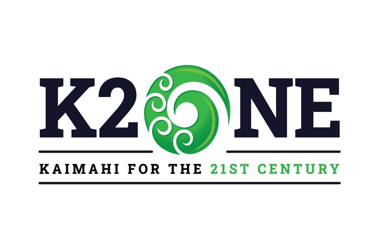 Infill Homes Aotearoa